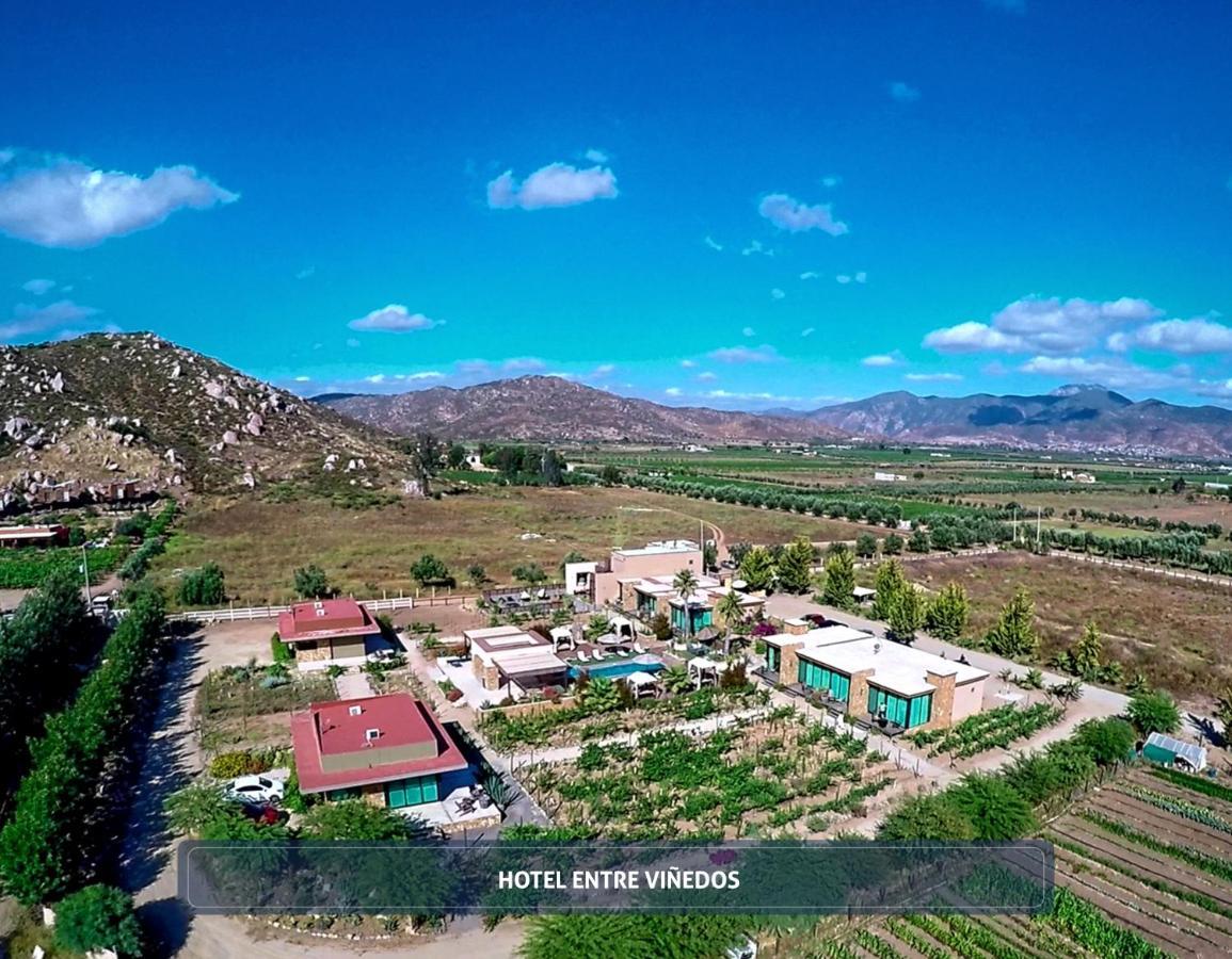 Entre Vinedos By Hotel Boutique Valle De Guadalupe Exterior foto