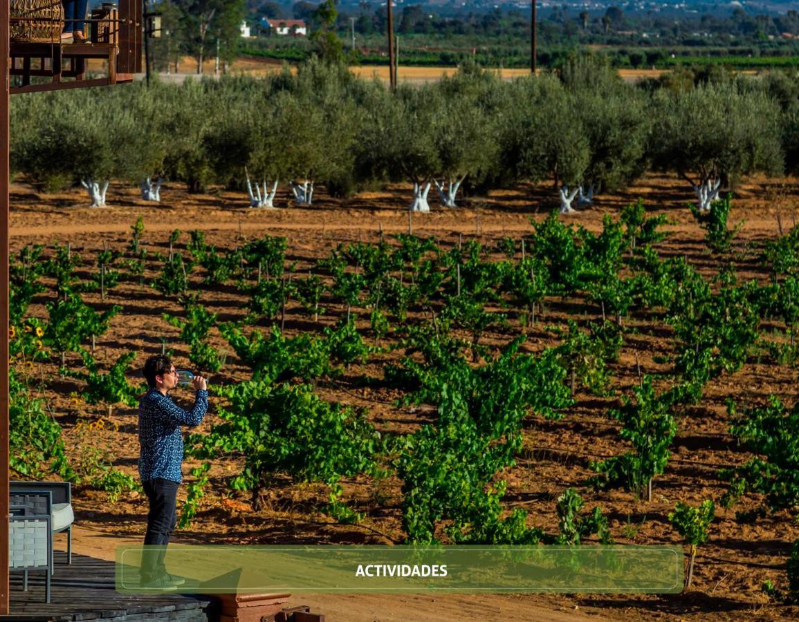 Entre Vinedos By Hotel Boutique Valle De Guadalupe Exterior foto